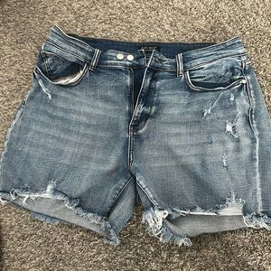 Judy Blue plus size denim shorts